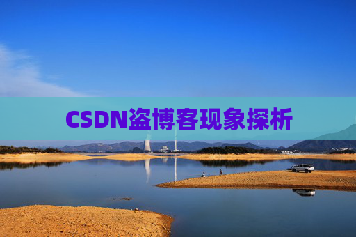 CSDN盗博客现象探析